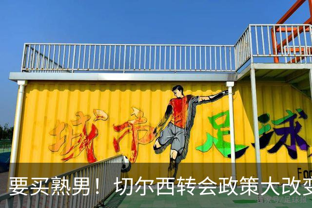 要买熟男！切尔西转会政策大改变 想引进35岁维尔贝克